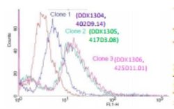 HIV-1 gp41 Antibody (417D3.08/ clone 2), Novus Biologicals 0.1mg; Unlabeled:Antibodies,