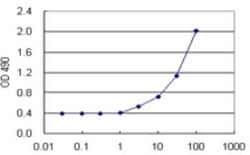 HLA A Antibody Pair, Novus Biologicals™