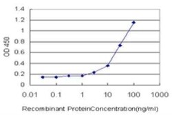 HLA DMA Antibody (3F12-F11), Novus Biologicals 0.1 mg | Buy Online | Novus Biologicals | Fisher Scientific