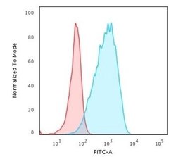 HLA DPB1 Antibody (HLA-DPB1/2862R) - Azide and BSA Free, Novus Biologicals