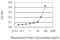 Novus Biologicals HLA DPB1 Antibody (6C6), Novus Biologicals 0.1 mg | Buy Online | Novus Biologicals&trade; | Fisher Scientific