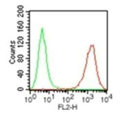 HLA-DR Antibody (L243) - Azide and BSA Free, Novus Biologicals 0.1 mL;
