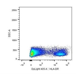 HLA-DR Antibody (L243) - Azide and BSA Free, Novus Biologicals 0.1 mL;