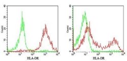HLA-DR Antibody (L243) - Azide and BSA Free, Novus Biologicals 0.1 mL;