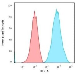 HLA DRB1 Antibody (SPM289), Novus Biologicals:Antibodies:Primary Antibodies