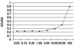 HMGB1/HMG-1 Antibody Pair, Novus Biologicals 1 Set | Buy Online | Novus Biologicals | Fisher Scientific