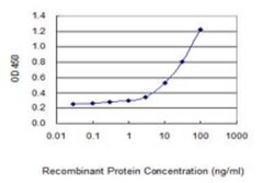 HMGB1/HMG-1 Antibody (1D5), Novus Biologicals 0.1 mg | Buy Online | Novus Biologicals | Fisher Scientific