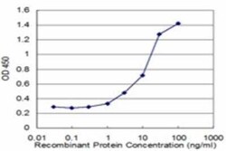 HMGCS2 Antibody (1E9), Novus Biologicals 0.1 mg | Buy Online | Novus Biologicals | Fisher Scientific