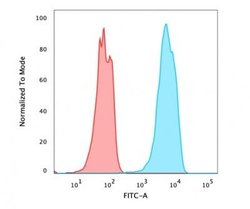 HNF-3 alpha/FoxA1 Antibody (FOXA1/2230R) - Azide and BSA Free, Novus Biologicals