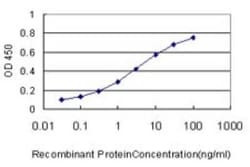 HOXC13 Antibody (10D4), Novus Biologicals 0.1 mg | Buy Online | Novus Biologicals | Fisher Scientific