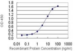 HOXD1 Antibody (4F4), Novus Biologicals 0.1 mg | Buy Online | Novus Biologicals | Fisher Scientific