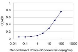 HRSP12 Antibody (2B8), Novus Biologicals 0.1 mg | Buy Online | Novus Biologicals | Fisher Scientific
