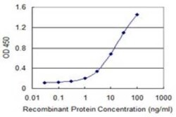 HSD17B12 Antibody (4G11), Novus Biologicals 0.1 mg | Buy Online | Novus Biologicals | Fisher Scientific