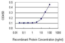 HSF1 Antibody (1A11), Novus Biologicals 0.1 mg | Buy Online | Novus Biologicals | Fisher Scientific