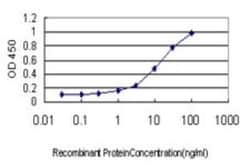 HSF2 Antibody (1F11-A3), Novus Biologicals 0.1 mg, Unconjugated:Antibodies,