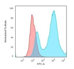 HSP27 Antibody (HSPB1/774), Novus Biologicals:Antibodies:Primary Antibodies
