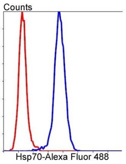 HSP70/HSPA1A Rabbit anti-Human, Clone: SA0379, Novus Biologicals 100&mu;L:Antibodies,