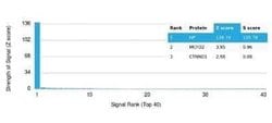 Haptoglobin Mouse anti-Human, Clone: HP/3837, Novus Biologicals:Antibodies:Primary