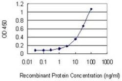 Hemoglobin A1 Antibody (4F9), Novus Biologicals 0.1 mg | Buy Online | Novus Biologicals | Fisher Scientific