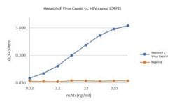 Hepatitis E Virus Capsid Mouse anti-Virus, Clone: BD6.A2.A9.E11.F8, Novus