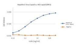 Hepatitis E Virus Capsid Mouse anti-Virus, Clone: EB2.2.G10.B4.A10, Novus