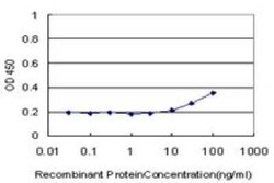 Hey L Antibody (2B4), Novus Biologicals 0.1 mg | Buy Online | Novus Biologicals | Fisher Scientific