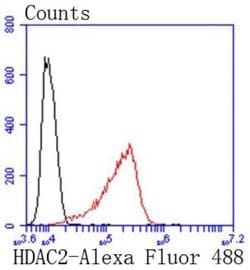 HistoneDeacetylase2/HDAC2 Rabbit anti-Human, Clone: SY29-02, Novus Biologicals 100 &mu;L | Buy Online | Novus Biologicals | Fisher Scientific