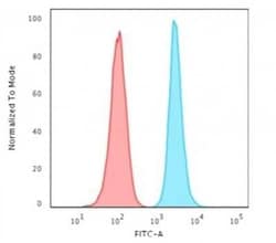 H1F0 Antibody (1415-1), Novus Biologicals:Antibodies:Primary Antibodies
