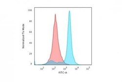 H1F0 Antibody (AE-4), Novus Biologicals:Antibodies:Primary Antibodies