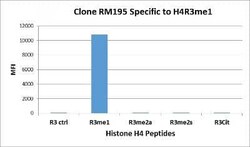 Histone H4, Monomethyl Arg3 Antibody (RM195), Novus Biologicals 100 &mu;g;