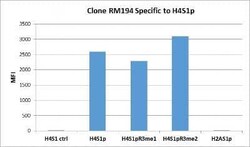 Histone H4, p Ser1 Antibody (RM194), Novus Biologicals 100 &mu;g; Unconjugated:Antibodies,