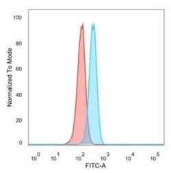 Homez Antibody (PCRP-HOMEZ-1A5) - Azide and BSA Free, Novus Biologicals
