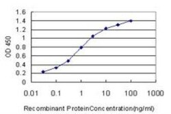 Novus Biologicals HspA1B Antibody (3B7), Novus Biologicals 0.1 mg | Buy Online | Novus Biologicals&trade; | Fisher Scientific