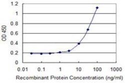 HspA4 Antibody (3A11), Novus Biologicals 0.1 mg | Buy Online | Novus Biologicals | Fisher Scientific