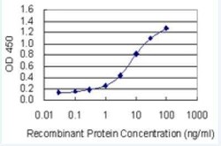 HspA6 Antibody (6H7), Novus Biologicals 100 &mu;g | Buy Online | Novus Biologicals | Fisher Scientific