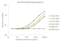 Human Coronavirus Spike S1 Rabbit anti-HCoV-NL63, Polyclonal, Novus Biologicals 0.5 mg | Buy Online | Novus Biologicals | Fisher Scientific