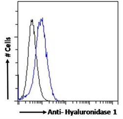 Hyaluronidase 1/HYAL1 Antibody, Novus Biologicals 0.1 mg | Buy Online | Novus Biologicals | Fisher Scientific