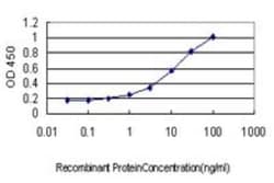 ICA1 Antibody (6G11), Novus Biologicals 0.1 mg, Unconjugated:Antibodies,