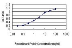 ID1 Antibody (1F7), Novus Biologicals 0.1 mg | Buy Online | Novus Biologicals | Fisher Scientific