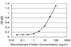 ID1 Antibody (3F3), Novus Biologicals 0.1 mg | Buy Online | Novus Biologicals | Fisher Scientific