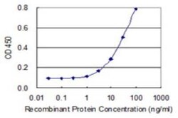 IER2 Antibody (3E2), Novus Biologicals 0.1 mg | Buy Online | Novus Biologicals | Fisher Scientific