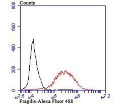 IFITM3/Fragilis Rabbit anti-Human, Mouse, Clone: JU73-02, Novus Biologicals
