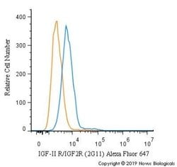 IGF-II R/IGF2R Antibody (2G11) - Azide and BSA Free, Novus Biologicals