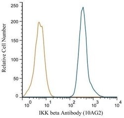 IKK beta Antibody (10AG2) - Azide and BSA Free, Novus Biologicals 0.1 mg;