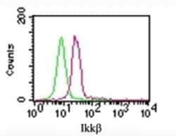 IKK beta Antibody (10AG2) - Azide and BSA Free, Novus Biologicals 0.1 mg;