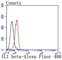 IL-1 beta/IL-1F2 Antibody (JJ087-3), Novus Biologicals 100&mu;L:Antibodies,