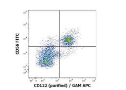 IL-2 R beta Antibody (TU27) - Low Endotoxin, Azide and BSA Free, Novus