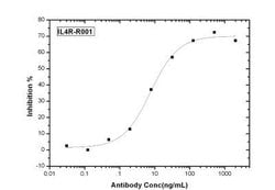 IL-4R alpha Rabbit anti-Human, Clone: R001, Novus Biologicals:Antibodies:Primary