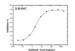 IL-4R alpha Rabbit anti-Human, Clone: R401, Novus Biologicals:Antibodies:Primary