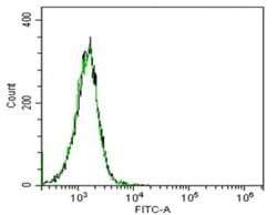 IL-6 Mouse anti-Human, Clone: B-E8, Novus Biologicals 500 &mu;g | Buy Online | Novus Biologicals | Fisher Scientific